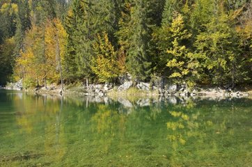 Green lake and forest in autumn Alps France