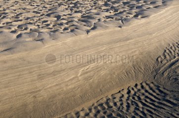 Ripples on the sand in the Somme Bay France