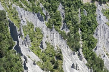 Hoodoo Rocks and forest Alps France