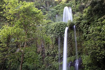 Waterfall rainforest Senaru Lombok Indonesia