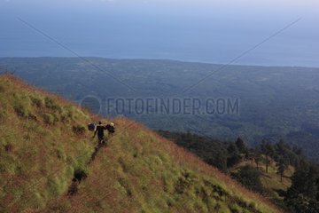 Bearer on volcano Gunung Rinjani Senaru Lombok Indonesia