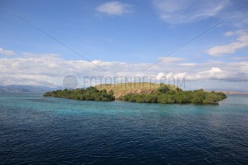 Island in Komodo National Park Flores Sea Indonesia