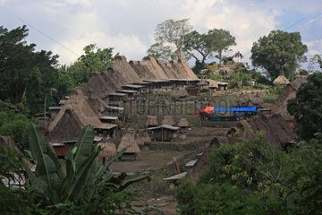 Traditional bamboo houses Bena Bajawa Indonesia