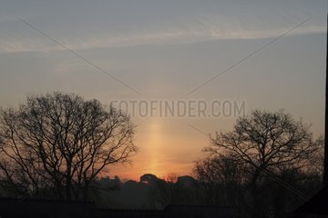 Sun pillar between two trees at twilight