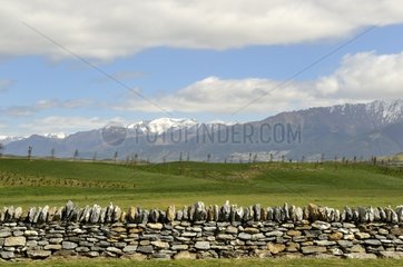 Dry-stone wall bounding a meadow in New Zealand