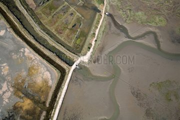 Aerial view of Salt Marsh Gulf of Morbihan France