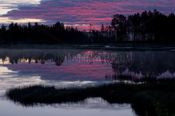 Bog Lake at sunrise PN Hamra Sweden