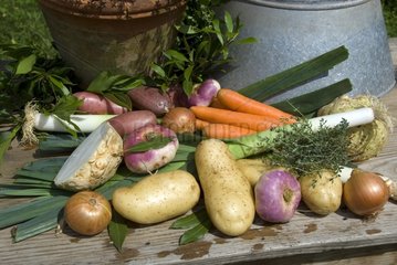 Légumes de pot au feu en mélange