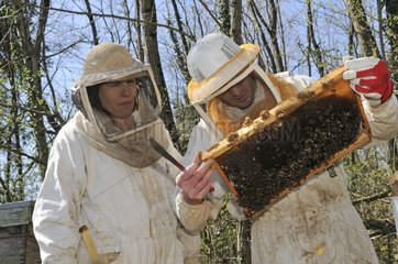 Beekeepers open the hive France