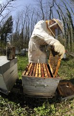 Smoky hive beekeeper to open France