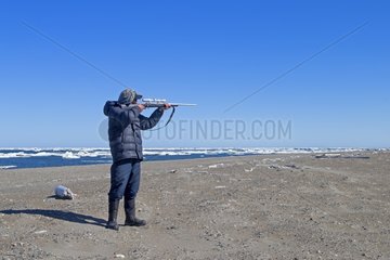 Inupiat hunter with rifle - Barter Island Alaska USA