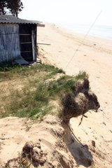 Bungalow threatened by landslide dunes Channel