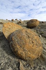 Sandstone concretion boulder of Red Rock Coulee Canada