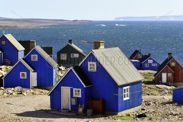 Blue houses of the village of Ittoqqortoormiit Greenland