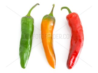 Hot peppers in studio