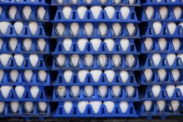 Egg white on blue plates in a market in India
