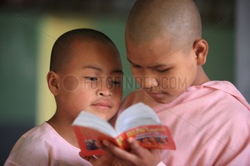 Buddhist nuns seek a word in a dictionary Burma