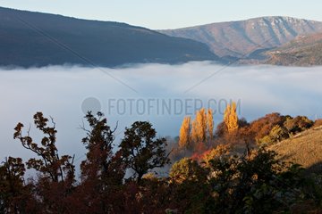 The Gorges du Verdon in mist views from Rougon France
