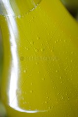 Closeup of Olive oil bottle France