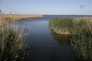 Encanyissada lagoon in the Ebro Delta Spain