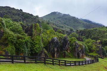 Macizo of Peña Cabarga natural park - Cantabria Spain