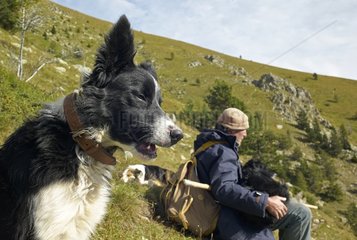 Shepherd and his dog - Mercantour NP Alpes France