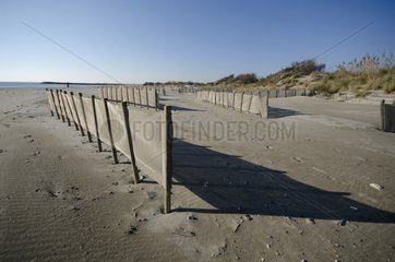 Protective fencing of dune - Camargue France