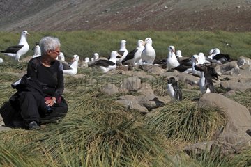 Tourist and Southern Rockhopper Penguin Falkland Islands