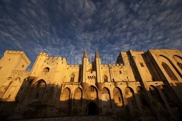 Palace of the Popes in Avignon Provence France