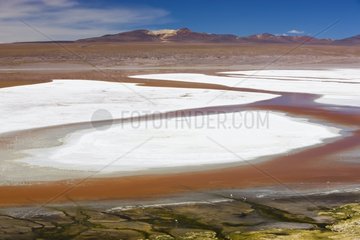 The Laguna Colorada Altiplano Bolivia