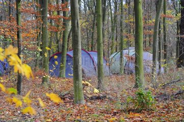 Homeless tents in the Bois de Vincennes Paris France