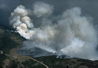 Canadair over a fire maquis Corse