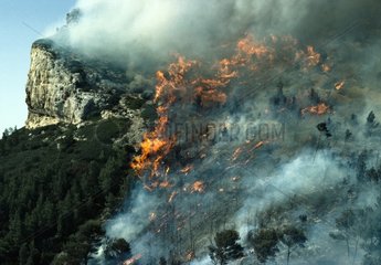 Forest fire between Cassis and La Ciotat France