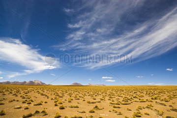 Storm clouds above Altiplano north of Laguna Colorada