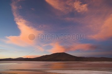Laguna Colorada at sunset Altiplano Bolivia