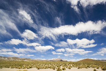Storm clouds above Altiplano grassland Bolivia