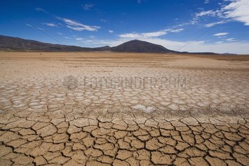 Mud crack patterns in dry lagoon Altiplano Bolivia
