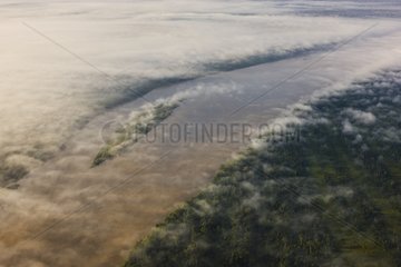 Aerial view of Madre de Dios River morning fog Bolivia