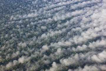 Low clouds over pristine Amazonian rain forest Bolivia