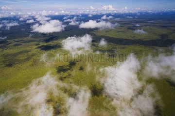 Aerial view of clouds above tree savannah Bolivia