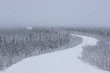 Dempster Highway during snow storm late fall northern Yukon