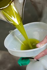 Olive oil Fillet France