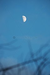Waxing moon in the sky of Provence in France