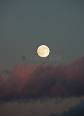 Full Moon at dusk in autumn France
