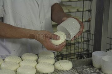 Removing saint-marcellin cheese in a traditional France