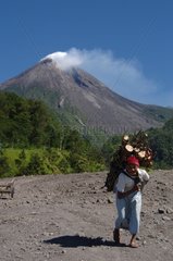 Old Woman carrying firewood in front of Merapi volvano Java