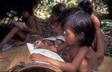 Forest school for Suku Anak Dalam tribe Sumatra