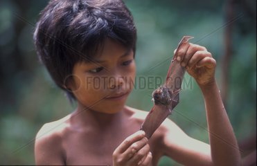 Boy playing with bat in the Bukit Duabelas NP Sumatra