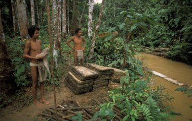 Tribesmen near rubber uploaded from river Sumatra
