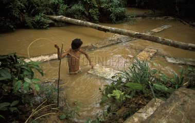 Tribesmen detaching floating rubber in river Sumatra